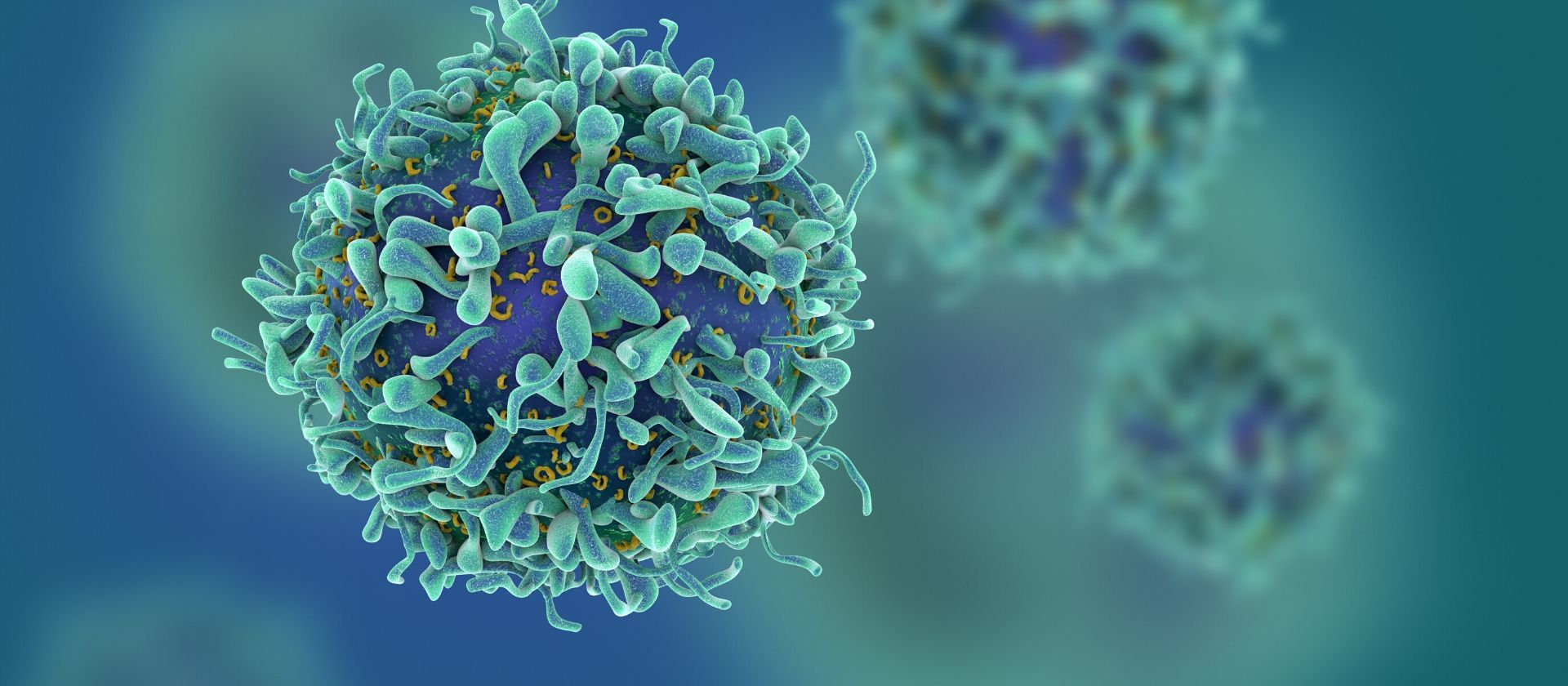 Who Among Us is Earning Their Leadership in our Coronavirus Crisis?