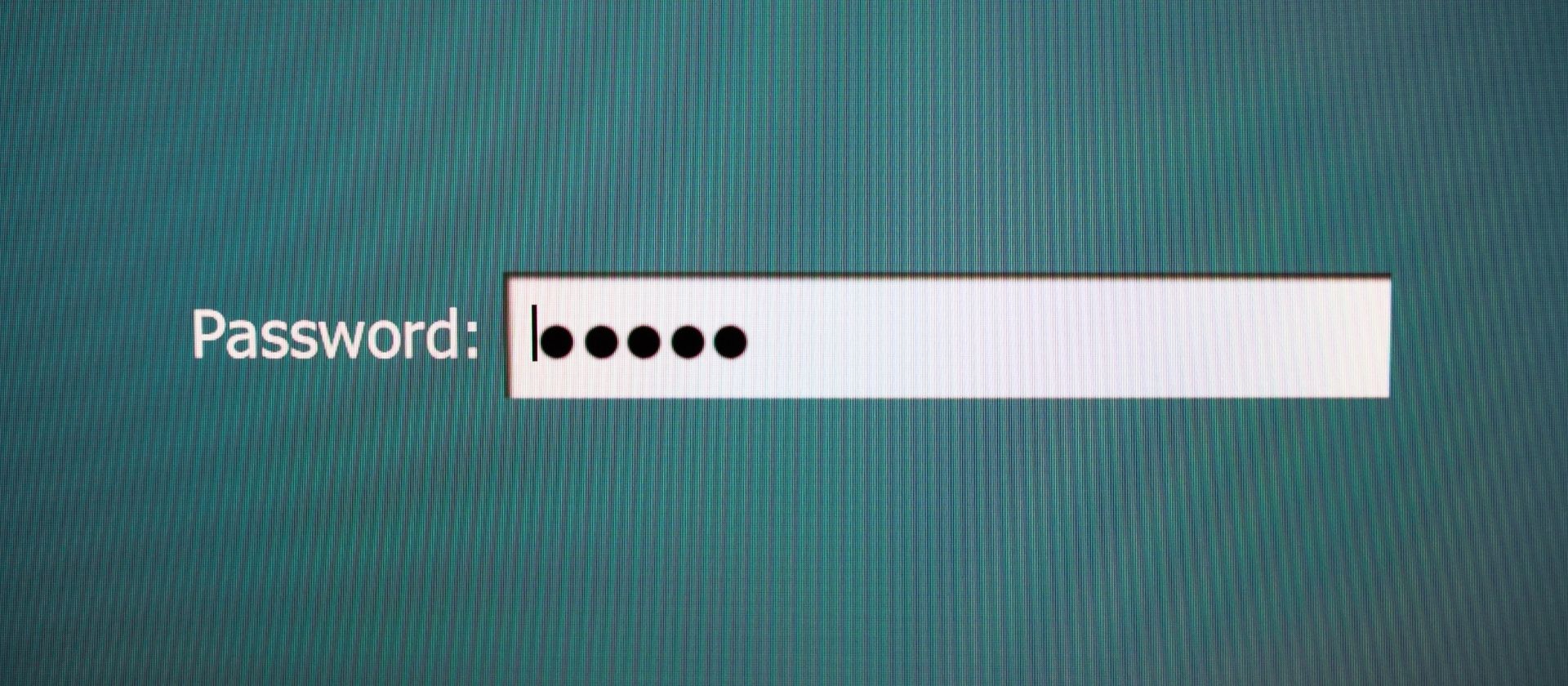 The State of Passwordless Security: 2021